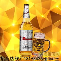 高端500ml大瓶啤酒 箱装新品啤酒 吉林 四平 辽源 通化